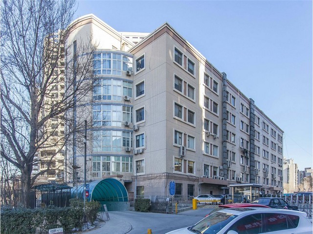 北京专业网络货运平台哪个好